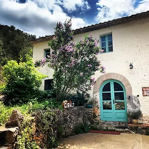 Masía Con Encanto 1.722 Mas D’en Giralt Villa Sitges